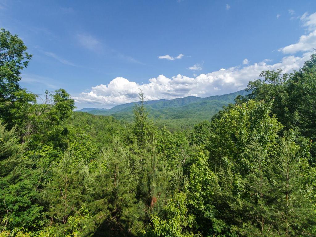 Dreamscapes Villa Gatlinburg Exteriör bild